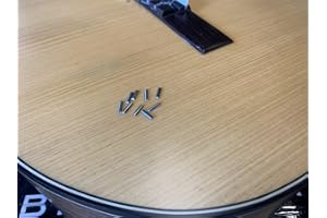 SALA MUZIK Fretlet Microtonal Guitar Fret FLF-10 (10 Pcs)