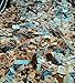 1000+ Used Worldwide Postage Stamps Off-paper Stamp International Stamp Collecting
