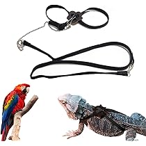 bearded dragon harness amazon