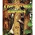 Tropical Rain Forest Donald Silver 9780070580510 Amazon Com Books