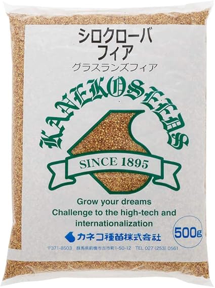 Amazon カネコ種苗 白クローバー種子 白クローバー フィア 500g タネ Hcb102 草丈 30cm ハーブ