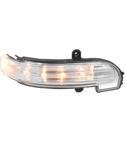 Amazon.com: FANLIDE Right Mirror Turn Signal Lamp Light FT4Z
