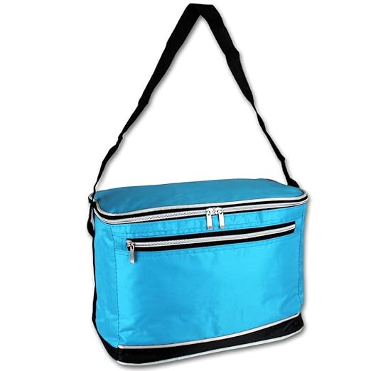 Nevera portátil – Cesta refrigerada – Bolsa nevera 8L con ...
