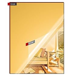 Enoin 1Pack 8 x 12 Inch Gold Mirror