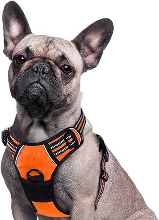 small dog chest harness