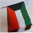 Kuwait 6 meters BUNTING Flag 20 flags 9'' x 6'' - Kuwaiti STRING flags 15 x 21 cm - AZ FLAG