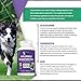 Peppy-Paws Glucosamine Chondroitin for Dogs with MSM - All Natural Joint Supplement for Dogs - Improves Mobility - Hip Dysplasia - Dog Joint Pain - Reduces Inflammation-120 Beef Flavored Tablets