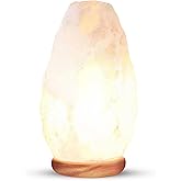 Himalayan Glow White Salt Crystal Lamp, Natural Salt Night Light, Hand Crafted Salt Lamps with Neem Wooden Base, Salts Lamp B
