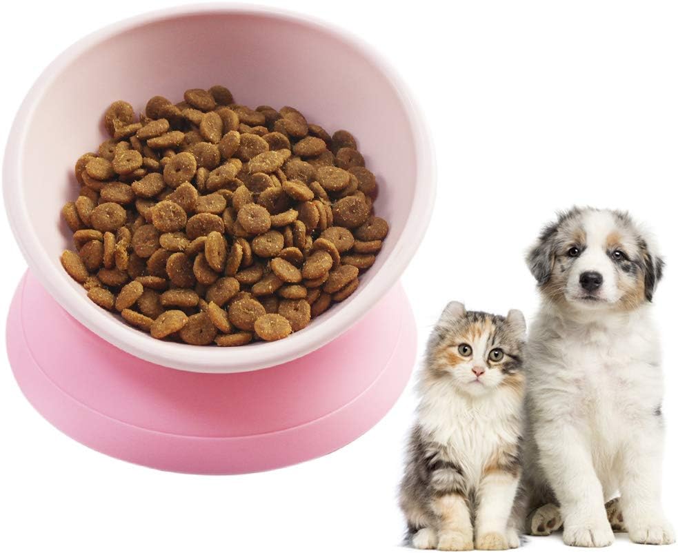 cat food for puppies