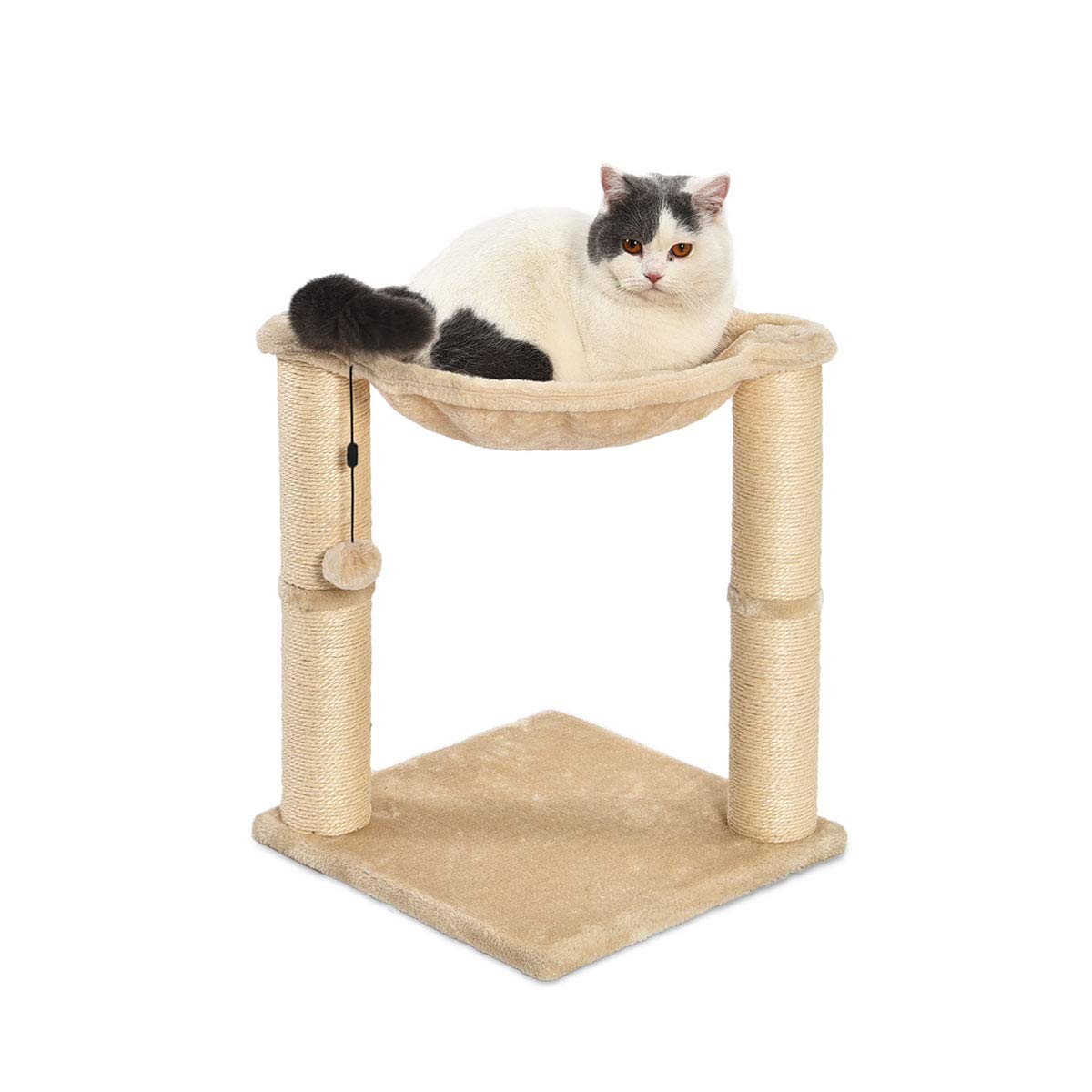 AmazonBasics Cat Scratching Post and Hammock