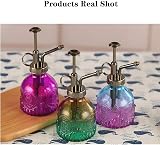 ZIUHEOA Plant Mister Glass Watering Bottle 200ML Retro Yellow Blue Gradient view 8