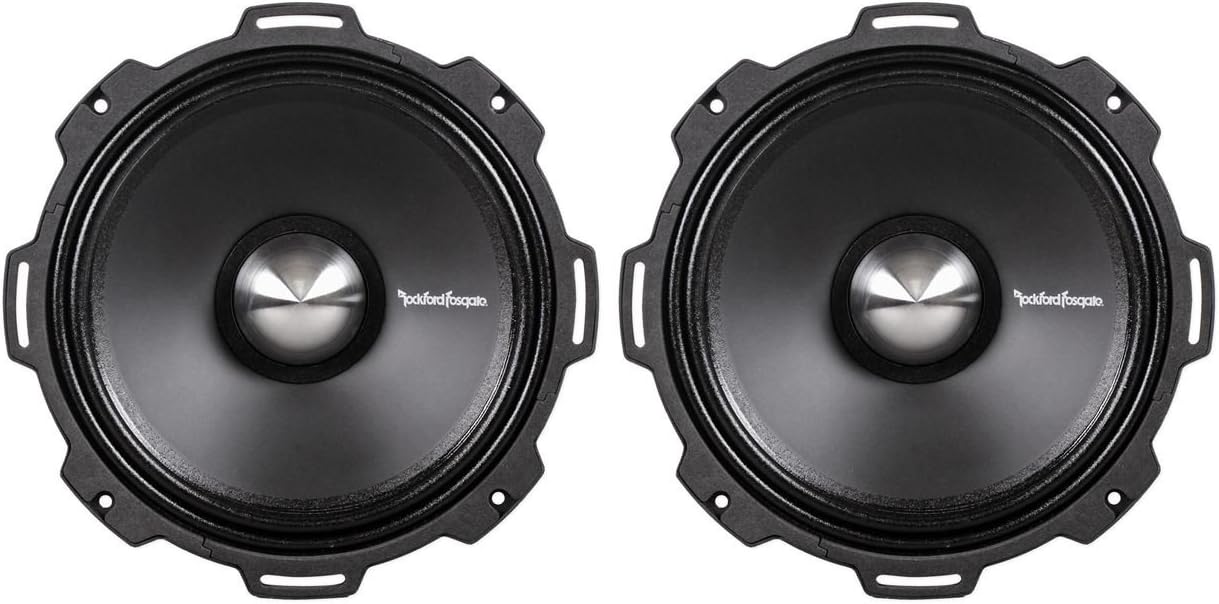 rockford fosgate 10 inch midrange