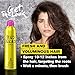 Tigi Tigi Bed Head Matte Dry Shampoo for Women, Oh Bee Hive!, 5 Oz , 5.0 Oz