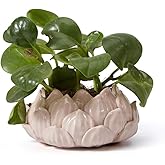 SEINHIJO Indoor Planter Ceramic Pot Flower Gifts Succulent Cacuts Decor Modern Arts Pink 7.1inch