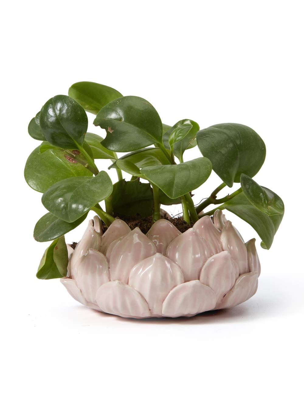 SEINHIJO Ceramic Planter Pot Cacuts Succulent Decor Gifts Flower Ornament Modern Indoor Sculpture Table Centerpiece Arts Crafts Pink 18cm