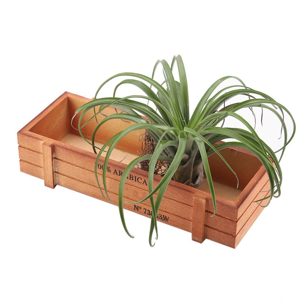 HERCHR Wooden Planter Box, Outdoor Wood Flower Container Rectangular Deep Trough Box Wooden Trough Planters Garden Plant Boxes for Indoor Outdoor Garden Decoration, 8.9x3.9x1.9inch