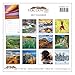2017 Montana Scenic Wall Calendar