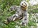 Realistic Stuffed Sloth - 16