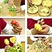 Cookie Cutters Pastry Fruit Cutters, Amison 12 Pcs Metal Stainless Steel Heart Star Circle Flower Shaped Mould