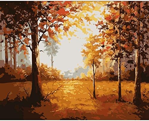 Reefa Paint by Number Kits,DIY Oil Digital Painting for Men Women Girl Boy 40x50CM