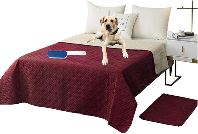 dog incontinence blanket