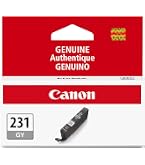 Amazon.com: Canon CLI-231 Genuine Magenta Ink Tank, Compatible