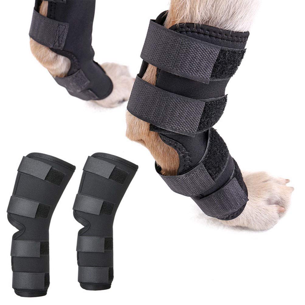 Zunea Dog Canine Rear Leg Hock Joint Brace 2Pack Hind Leg Wrap Protector and Extra Supportive, Leg Hock Joint Compression Sleeve for Wound Injury and Sprain Healing of Arthritis - (Black, M)
