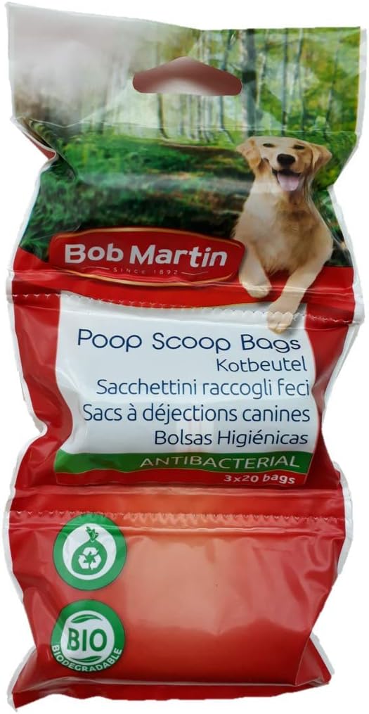 reptiles for sale online