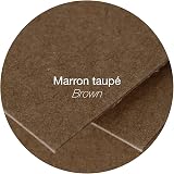 Clairefontaine 5878C Gummed Envelopes 14x14 cm Pollen Brown Pack of 20 view 2