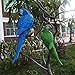 S&F Life Size Hanging Parrot Statue Like a Real Parrot Patio Lawn Ideal Decor for Nature Lovers Tropical Bird Collectors Summer Theme (Green)