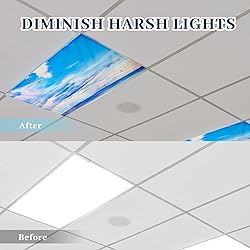 Patelai 4 x 2 Feet Fluorescent Light Cover for