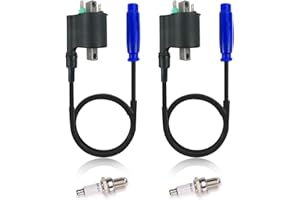 NEIVILU 2pcs Ignition Coil Spark Plug For Kawasaki Brute Force 750 KVF750 Teryx 750 KRF750 Teryx4 800 KRT800 Teryx 800 KRF800 21130-1071 21121-0721 21121-0039 21121-0725 21121-0716 21121-0717