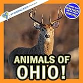 Animals of Ohio!: A My Incredible World Picture Book for Children (My Incredible World: Nature and Animal Picture Books for Children)