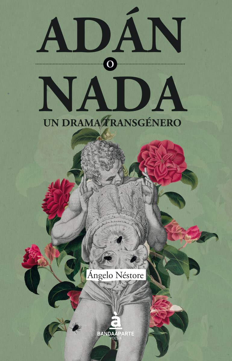 Portada de Adán o nada (POESIA)