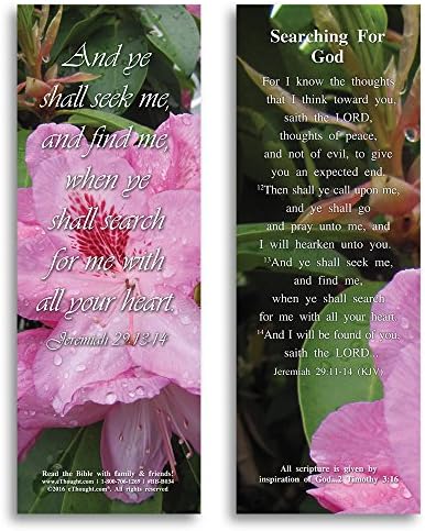 Bible Verse Cards, by eThought – Jeremiah 29:13-14 - Searching For God -Pack of 25 Bookmark Size Cards for reading, study, gifts and encouragement.