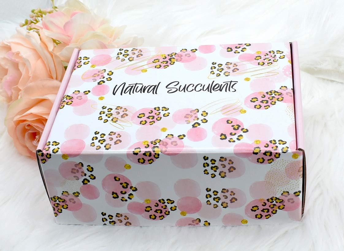 Christmas gift him Holiday Christmas gifts Holiday gift for women Merry Christmas gift