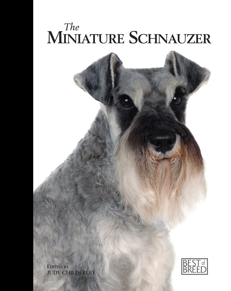 one small schnauzer