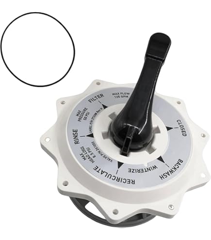 Amazon.com: 271148 2-Inch Diverter Spider Gasket & 271151 O-Ring