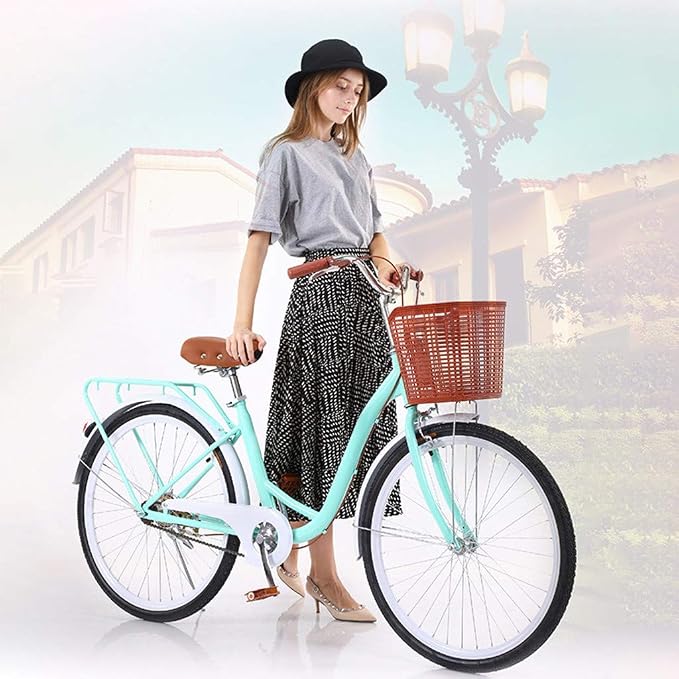 Mountain Classic Bicycle Suitable Wasteland