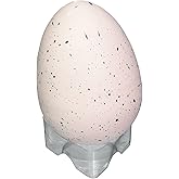 Toysmith Ginormous Grow Dino Egg Toy