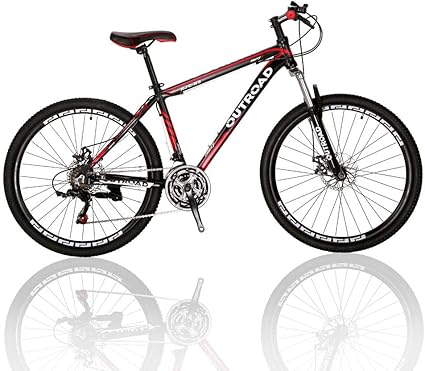 21 speed cruiser bike