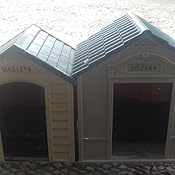 Small pet door Small pet door