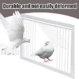 MOGOULUA 40cm Bird Cage Door Pigeon Entrance One-Way Gate Loft Coop White Iron view 3