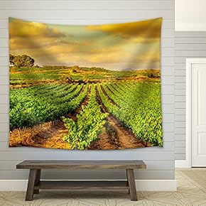 View of a Vineyard with Ripe Grapes in a Mediterranean Country at Sunset - Fabric Wall Tapestry Home Decor - 51x60 inches