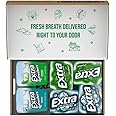 EXTRA Spearmint & Polar Ice Sugar Free Chewing Gum Bulk Assortment, 15 Sticks & 40 Pieces (2 Bottle Packs & 12 Single Packs)