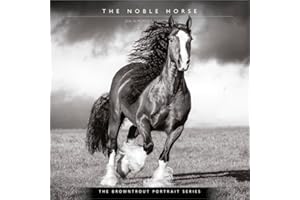 The BrownTrout Portrait Series: The Noble Horse | 2026 12 x 24 Inch (Hanging) Monthly Square Wall Calendar | Plastic-Free | Pets Equestrian