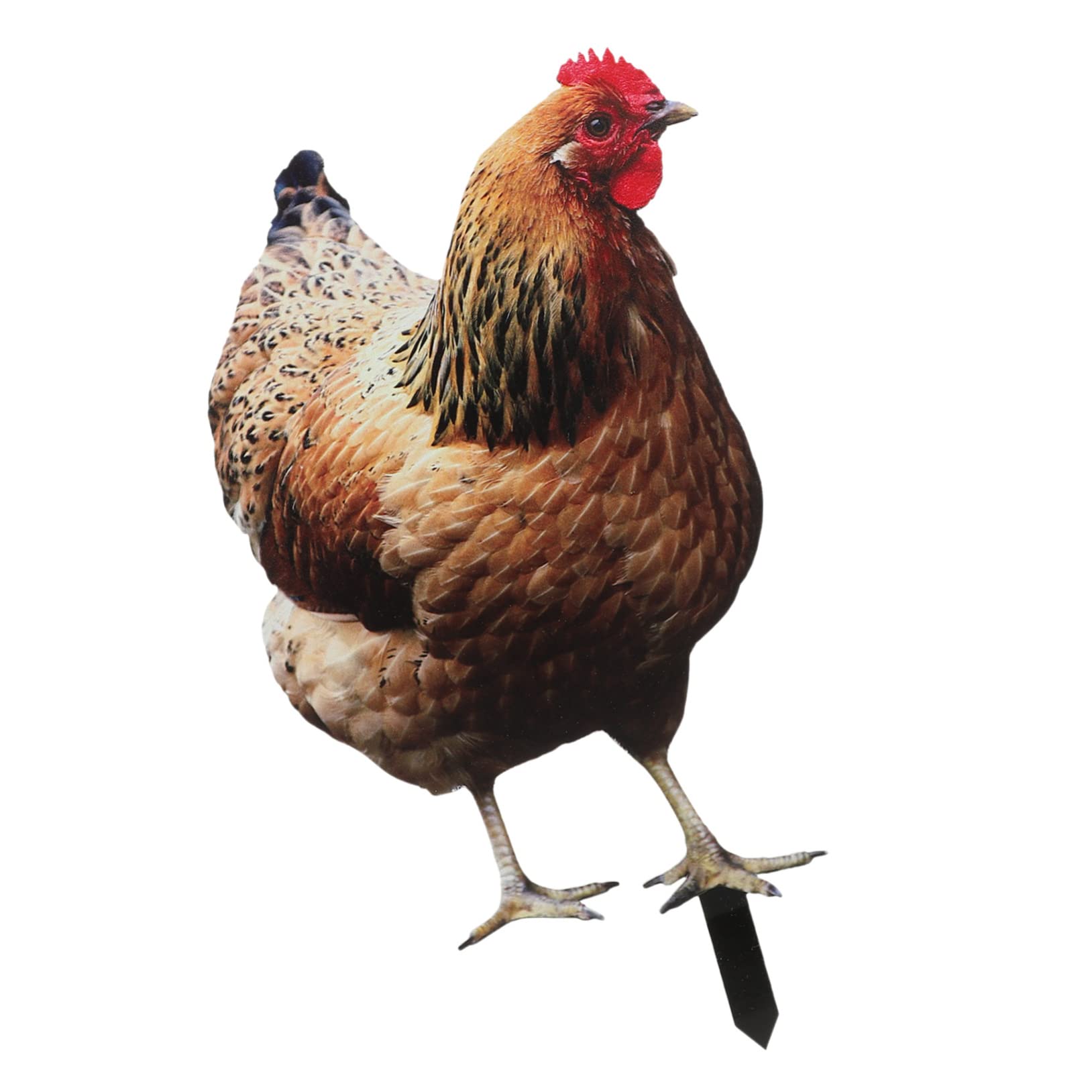 OFFSCH Garden Chicken Stake Realistic Lawn Decor Outdoor Yard Sign Rustic Farmhouse Style Decorative Chicken Ornament for Patio Courtyard