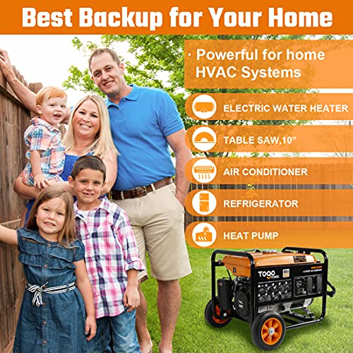 Togo Power Portable Generator, 3600 Peak Watts 120 Volts Industrial