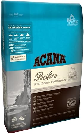 erin green beanie baby