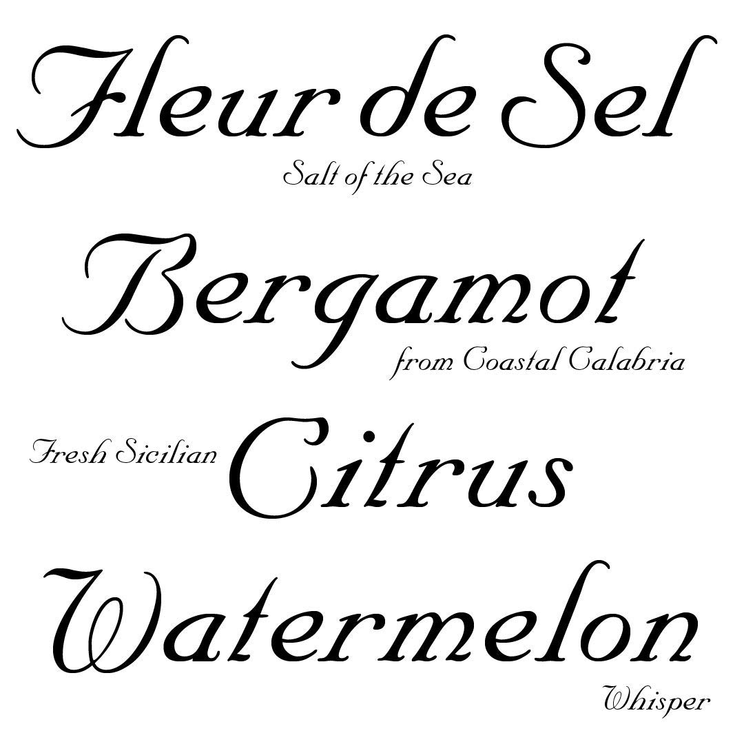 i profumi di firenze brezza di mare